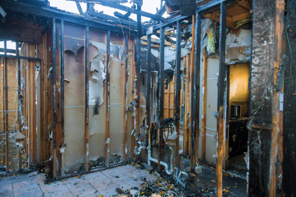 Professional Odor Removal technician working in New Lisbon, WI