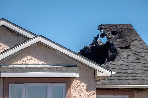 Top rated local Odor Removal specialists in New Lisbon, WI