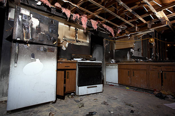Licensed Odor Removal service in New Lisbon, WI - Fire Damage Doption
